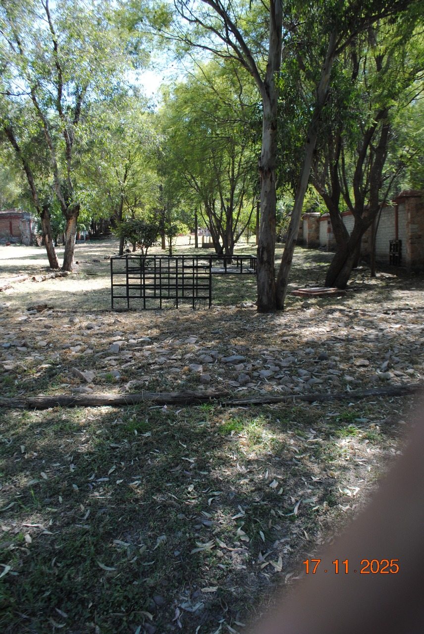 Sendero del jardín junto a la reja