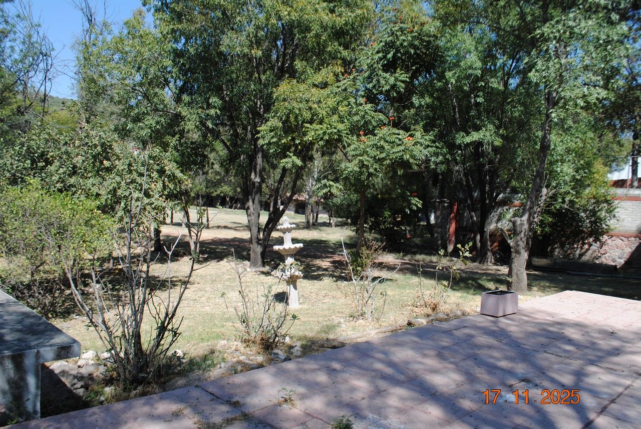 Camino del jardín entre los árboles