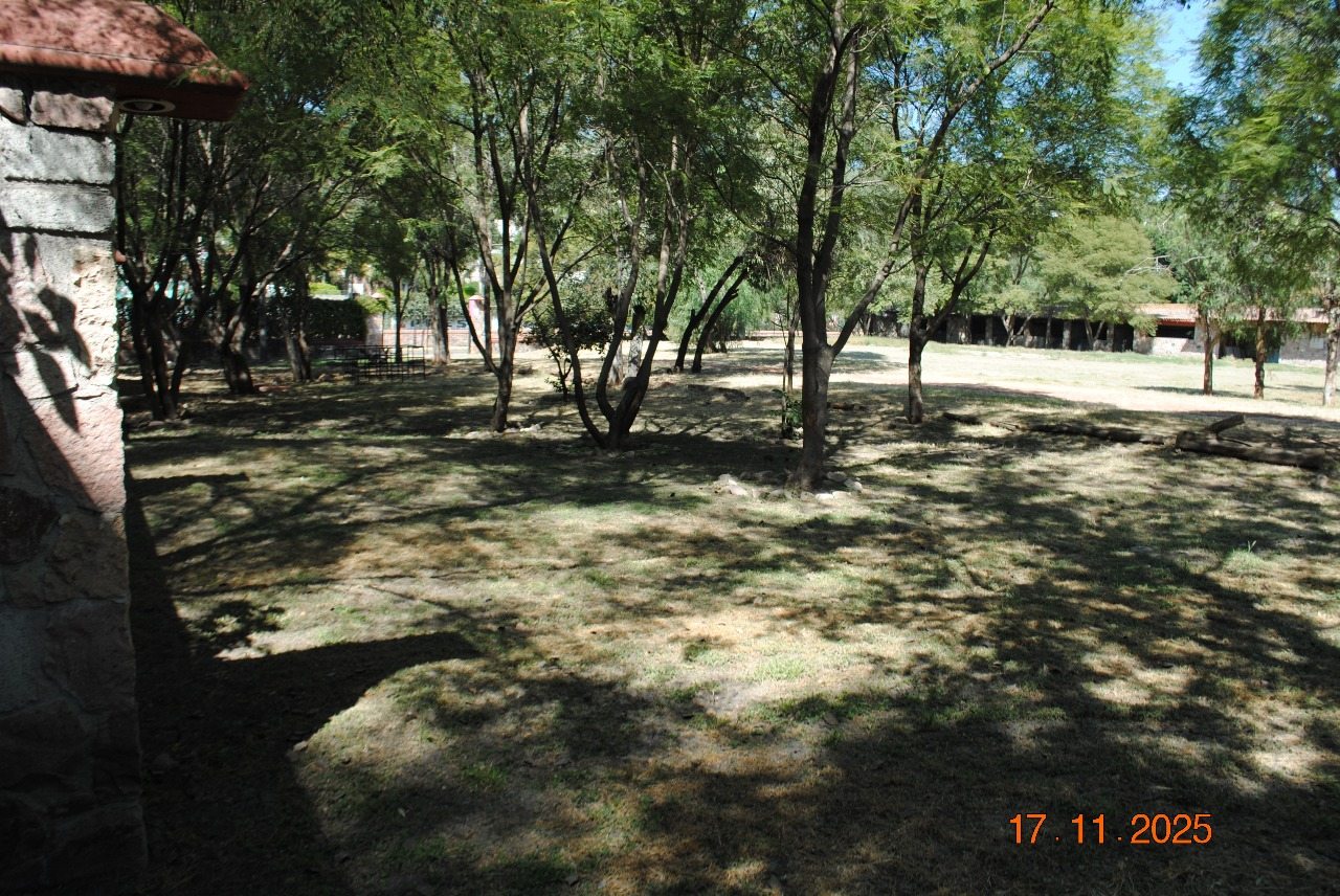 Jardín arbolado de Quinta Andrea con luz de día